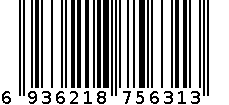 5631 6936218756313