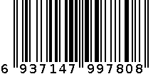 世纪奥桥铁艺挂钩花盆4029 6937147997808