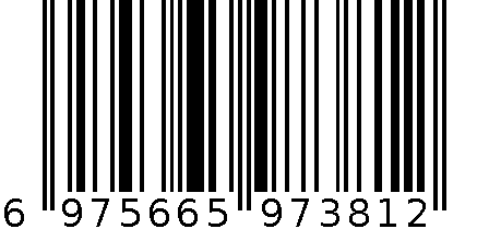 XTX-231101贝壳卡砖-透明-单张 6975665973812