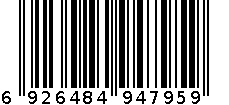 SQH-3716   簸箕刷子套装 6926484947959