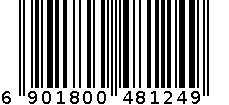 电表 6901800481249