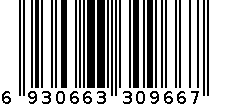 9003 6930663309667