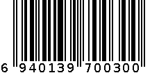 双格筷笼  KR020 6940139700300