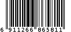 6581挂钟 11寸 6911266865811