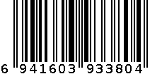 墨斗鱼园艺花泥6块装绿色3804 6941603933804