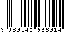 3811-31 6933140538314