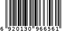 酸甜梅 6920130966561