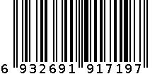 积木 6932691917197