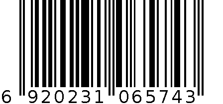 燃油滤清器 WFX-6574 6920231065743