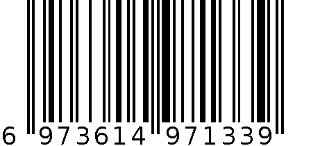 S8二合一手机闪存盘-8G 6973614971339